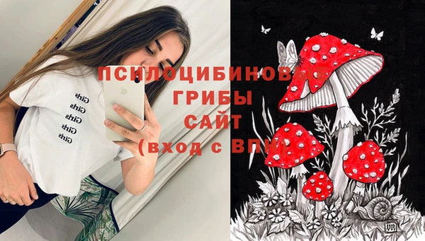 амфетамин Алексин
