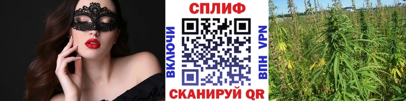 мориарти наркотические препараты  Комсомольск  Каннабис планчик 